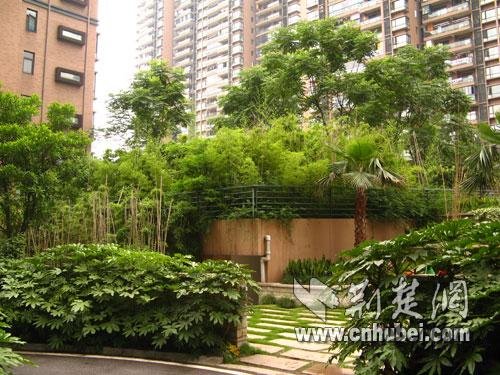高档小区刚建5年被迫拆迁原地复建给地铁让路