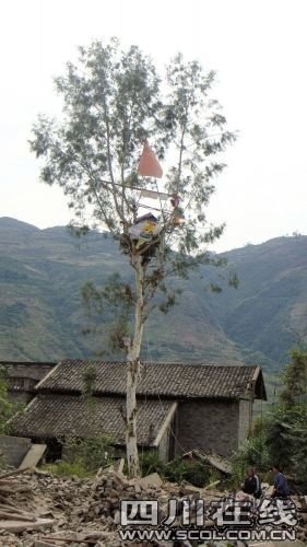 树枝上挂着一个喇叭，陈茂国每天高声放着喇叭给村民“宣讲”政策
