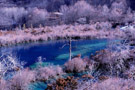 九寨沟风景区图片 冬天
