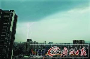 龙津中路一棵大树被狂风刮倒，压在出租车上。