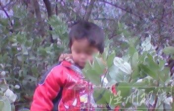 年仅3岁的王家红也没能幸免（资料图片）。来源：生活新报
