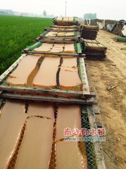大片麦地被当地小作坊晾晒工业明胶的木架占据。