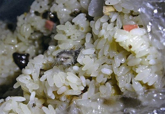 糯米饭吃出老鼠头