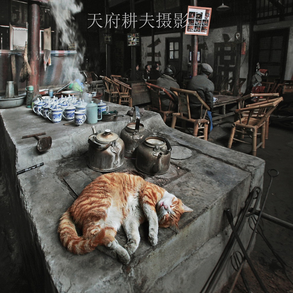 23届国展优秀奖，中国摄影家协会举办的首届国际网络大赛铜奖《冬日茶馆》