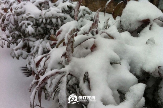浙江下雪了，2013年冬季浙江湖州安吉第一场雪