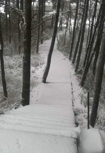 浙江下雪了，2013年冬季浙江湖州安吉第一场雪