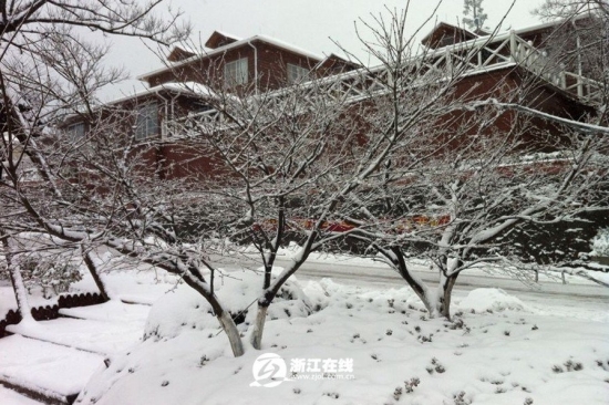 浙江下雪了，2013年冬季浙江湖州安吉第一场雪