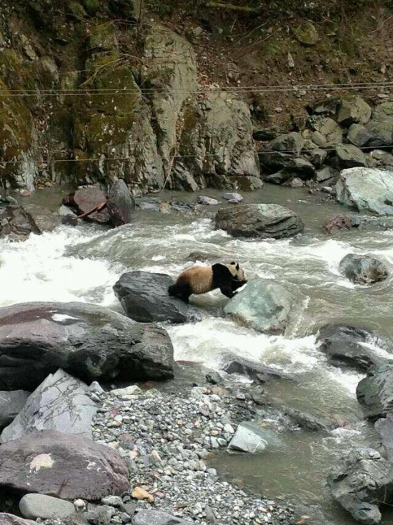 黑水河自然?；で⑾忠吧笮苊? width=
