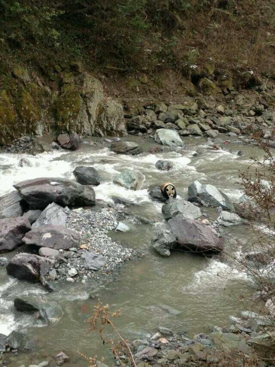 黑水河自然?；で⑾忠吧笮苊? width=