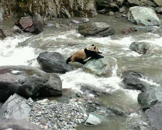 黑水河自然?；で⑾忠吧笮苊? width=
