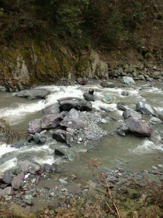 黑水河自然?；で⑾忠吧笮苊? width=