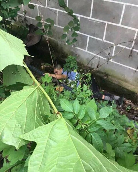 四川司机暴力抗法