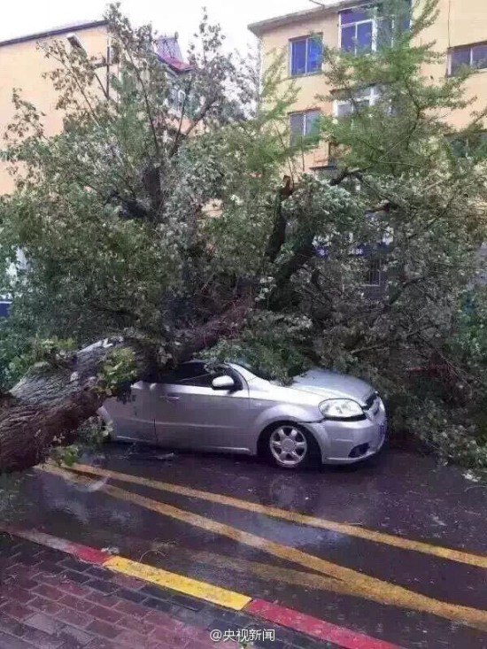 大风袭击辽宁