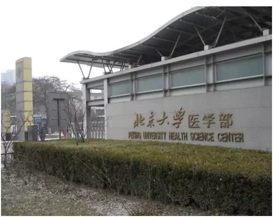 曝高考填志愿乱象