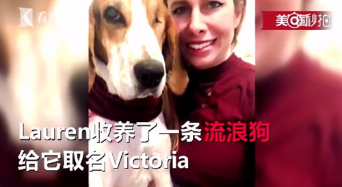 女子被闻出皮肤癌 流浪狗嗅觉真强大