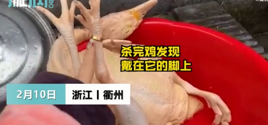 过年杀鸡竟找到丢失多年的金戒指 戴在“鸡脚”上还挺合适！