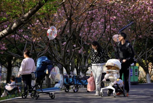2023年4月2日，上海的一个公园里，一对父母推着婴儿车。