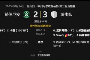 欧足联联合会杯希伯