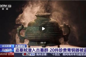 男子看小说学盗墓挖走20余件国宝被抓