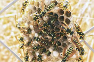 云南牟定县2名儿童被