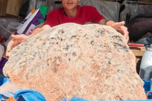 坠落广东的火流星被