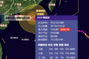 桦加沙强度接近地球上限