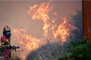 欧洲野火造成的碳排放对