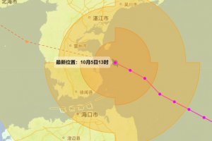 广东省委副书记：迅速进