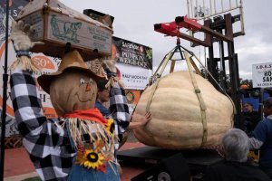 美国一男子种出一个