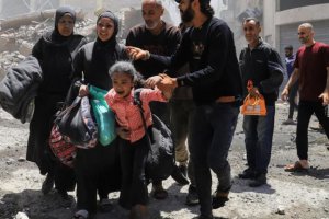 加沙?；鹦问蒲暇?以