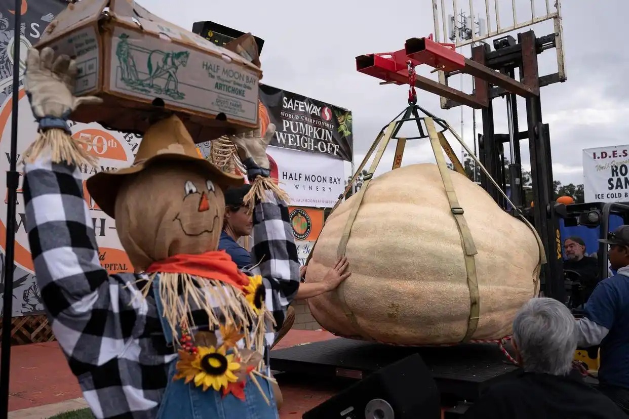 美国一男子种出一个南瓜1064公斤 种南瓜大赛夺冠