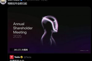 特斯拉股东接受马斯